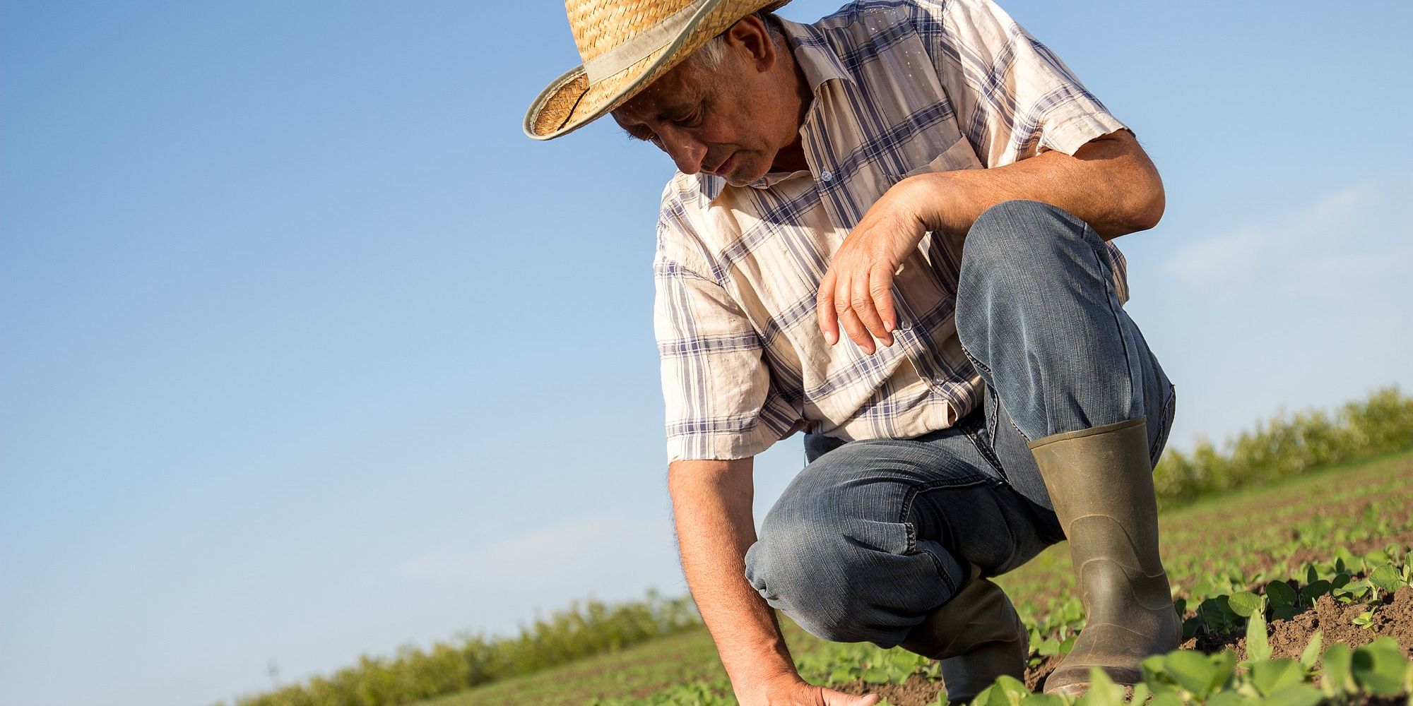 SEGUROS AGRÍCOLAS